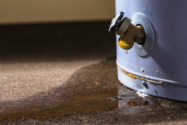 Best Water damage restoration near me  in Bristol, FL