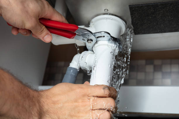 Best Professional water damage repair  in Bristol, FL