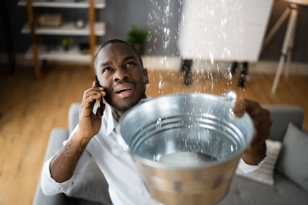 Best Mold removal after water damage  in Bristol, FL