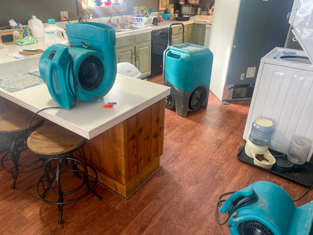 Best Emergency water damage restoration  in Bristol, FL