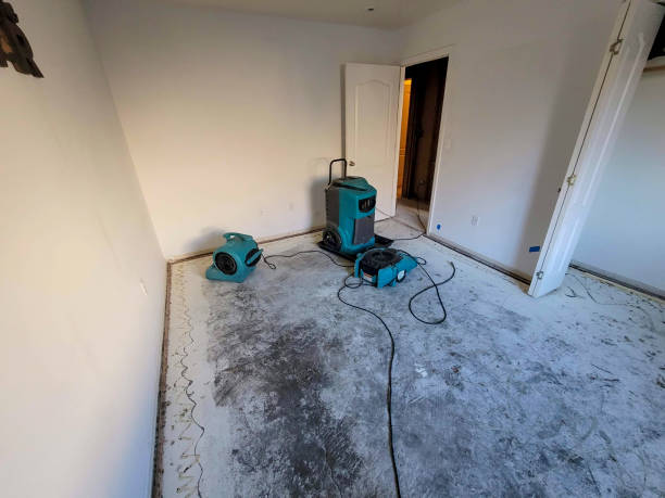 Best 24/7 water damage repair  in Bristol, FL