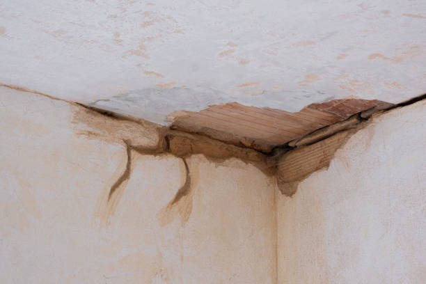 Best 24-hour water damage restoration  in Bristol, FL