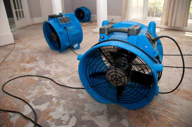Best Flood damage cleanup  in Bristol, FL