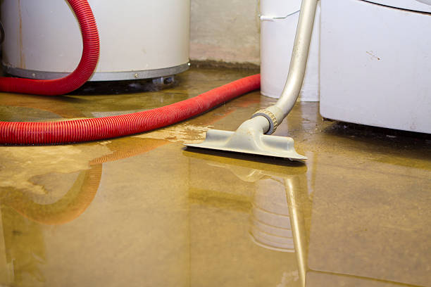  Bristol, FL Water damage restoration Pros