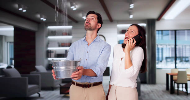 Best Flood restoration services  in Bristol, FL