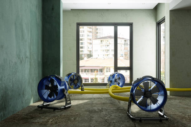 Best Carpet water damage restoration  in Bristol, FL